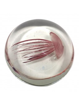 Presse-papier méduse