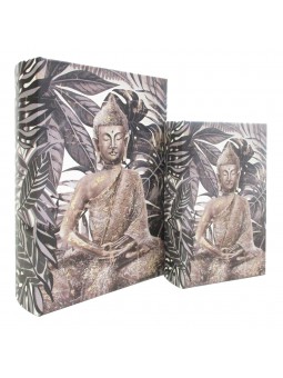 S/2 boite  livre bouddha