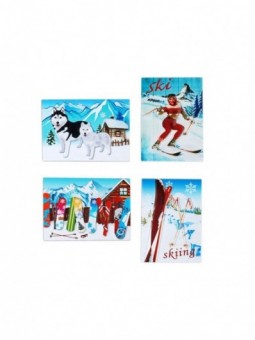 Promotion *magnetique neige