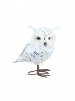 Promotion *hibou a/poils blanc