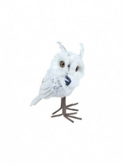 Promotion *hibou