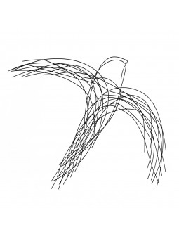 Décoration murale d'oiseaux