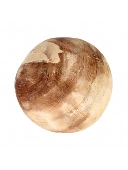Boule