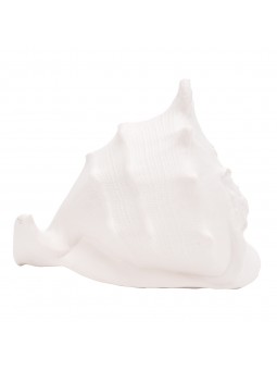 Décoration coquillage