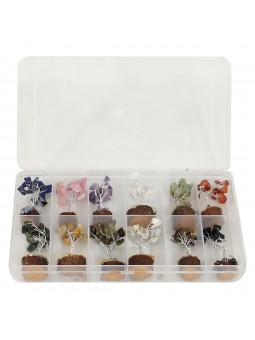 12 mini pierres