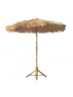 Parasol