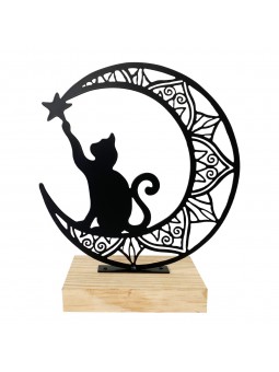 Figure chat sur la lune