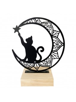 Figure chat sur la lune