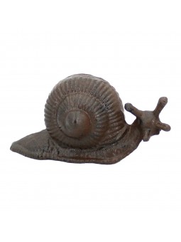 Snail