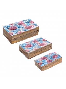 S / 3 boîtes de corail