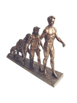  evolution humaine en bronze