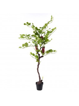 Arbre raisin