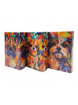 Boîte livre chien 3 diff.