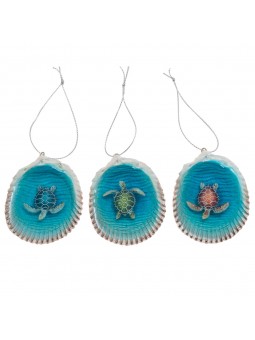 Coquille tortue 3 diff.