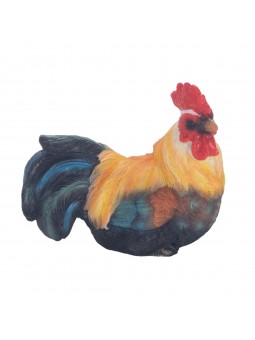 Coq