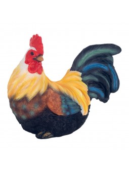Coq