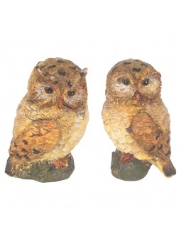 Hibou 2 diff.