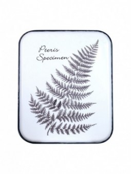 Promotion *ornement mur