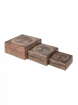 Set 3 boite carree arbre