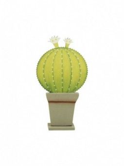 Promotion *cactus